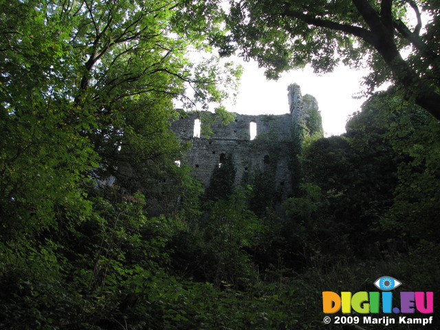 SX09698 Oystermouth Castle wall from surrounding woods